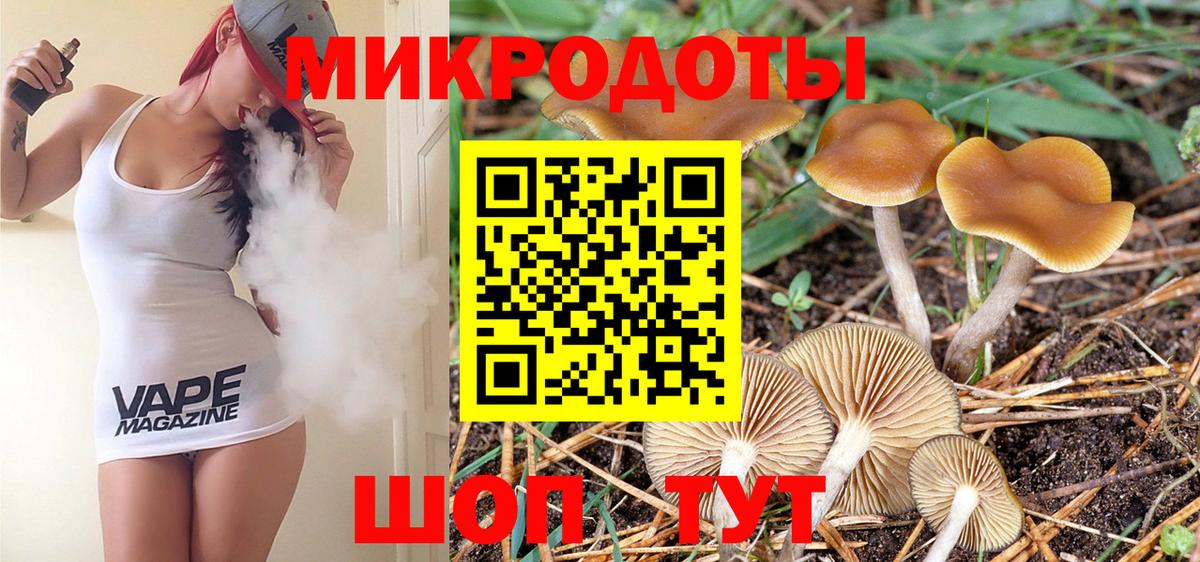 Гуково  Псилоцибиновые грибы Magic Shrooms  как найти закладки  Вход с VPN 