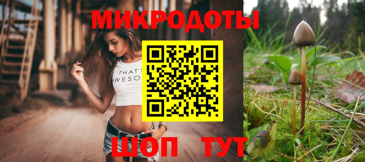 Псилоцибиновые грибы прущие грибы Гуково